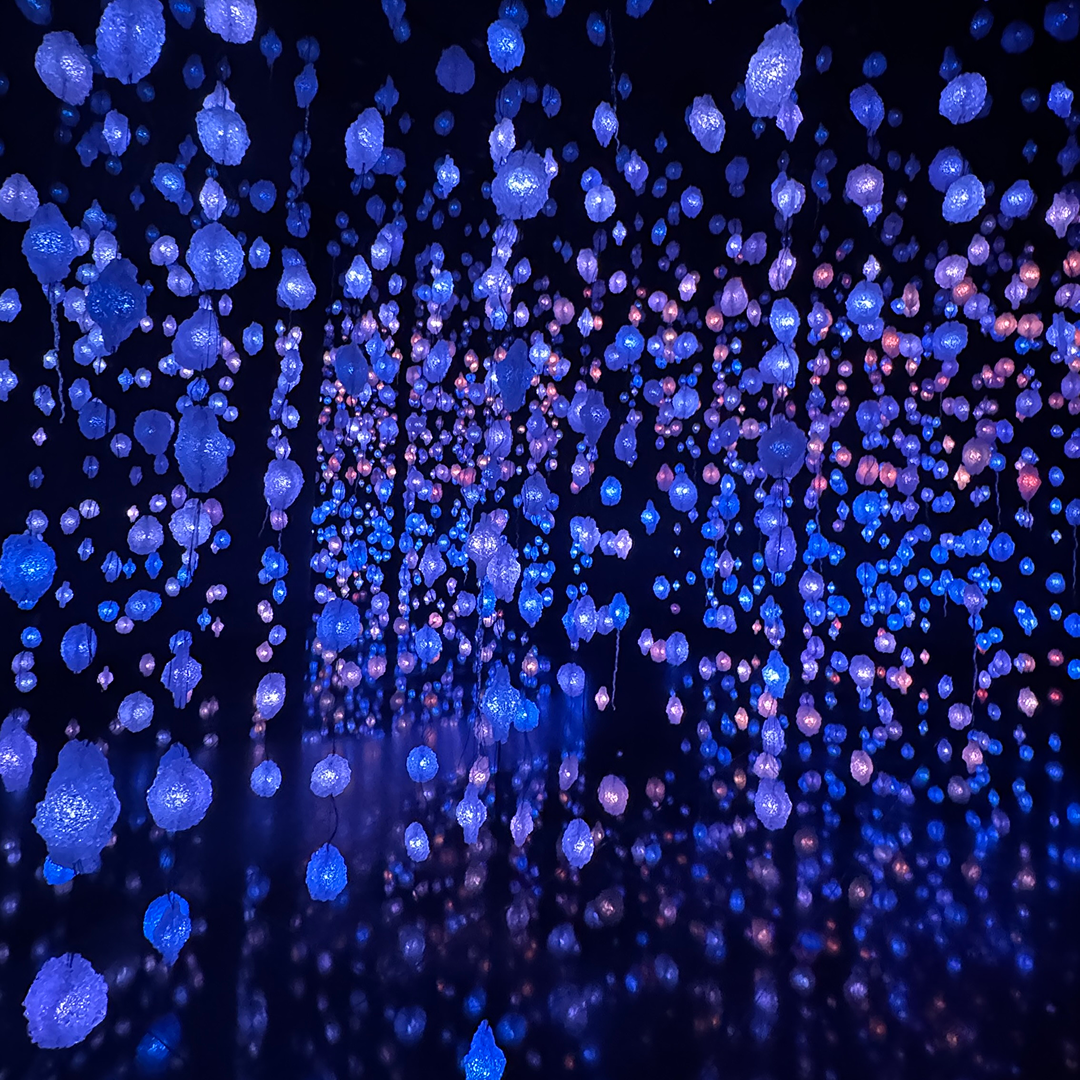 Lights